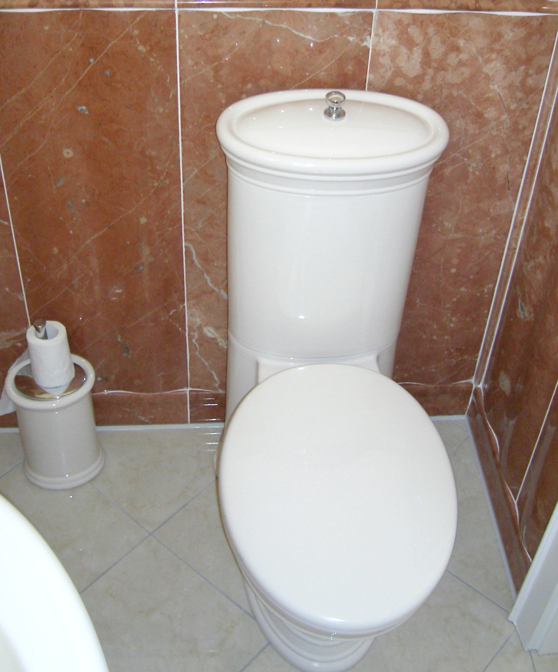Eine Toilette umgeben von tollen braunen Fliesen